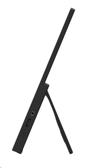 MSI LCD PRO MP165 E6, 15.6", IPS, FHD, 60Hz, 4ms, Black