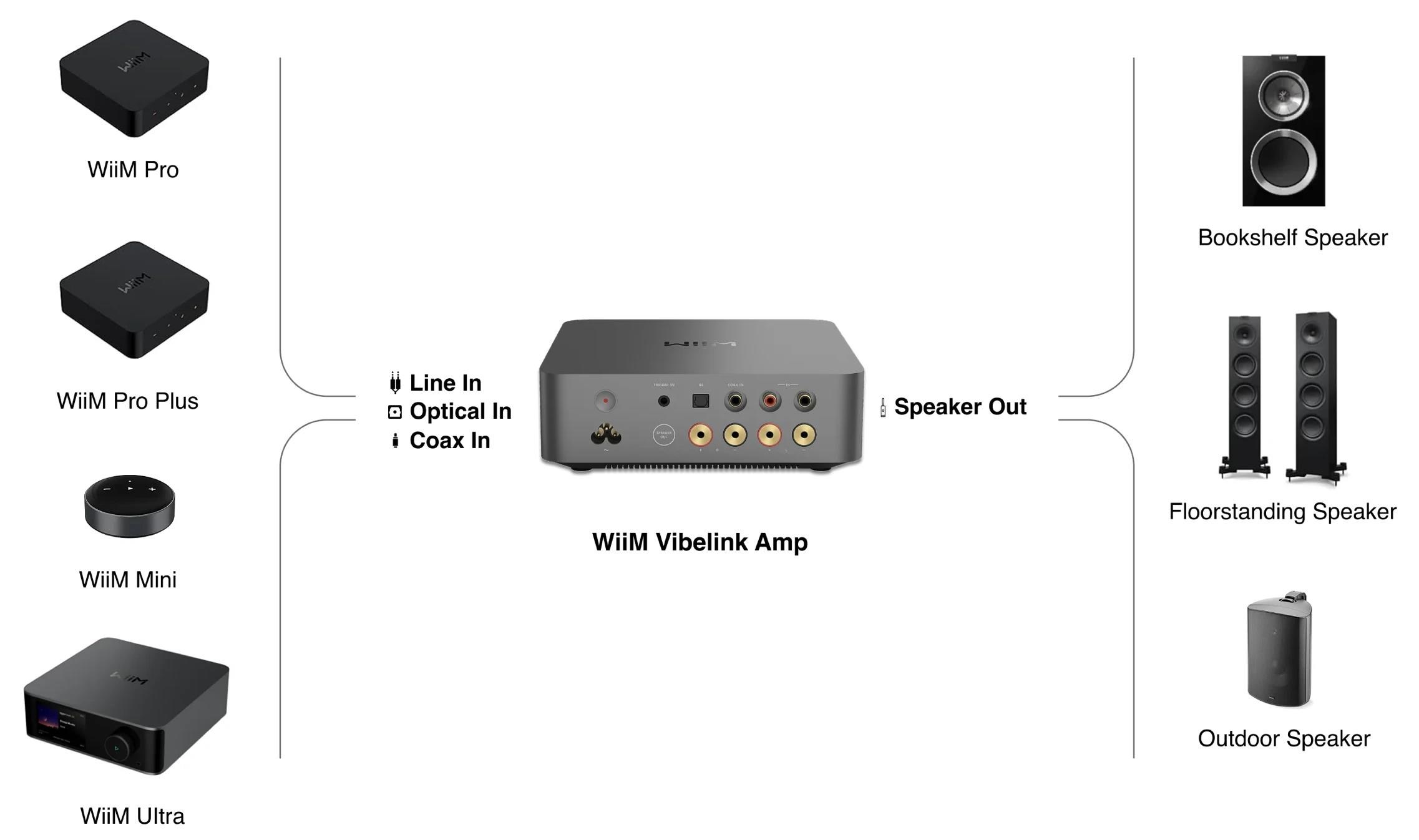 WiiM Vibelink Amp - Silver