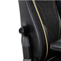 TRUST herní židle GXT 721 RUYA Pro Premium, černá