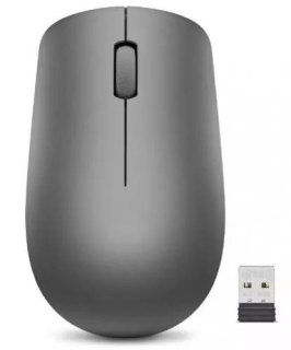 Lenovo 530 Wireless Mouse (Graphite)